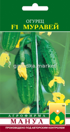 Огурец Муравей F1,Парт.оч.скоросп, Манул
