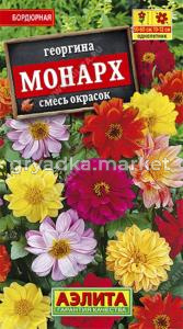 Георгина Монарх смесь (Аэлита)