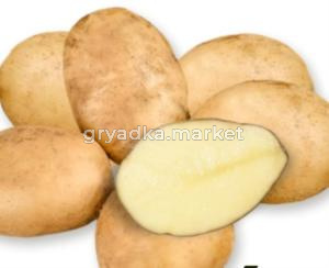 Картофель Тулеевка Ср Элита ~20кг