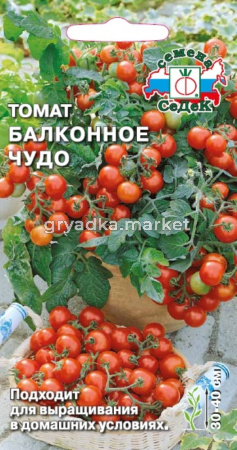 Томат Балконное чудо 0,1г-скоросп. (Седек)