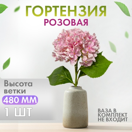 гортензиярозова1 гортензиярозова1