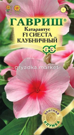 Катарантус Сиеста клубничный F1 7шт Одн 25см (Гавриш)