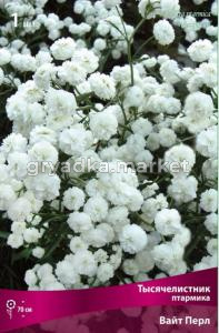 Тысячелистник птармика Вайт Перл 1шт