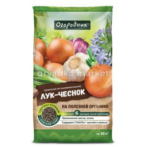 лук 1