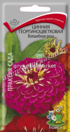 Цинния Волшебная роза, георгин. 0,4г. Поиск