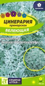 Цинерария Белеющая 0,1г (Сем Алт)