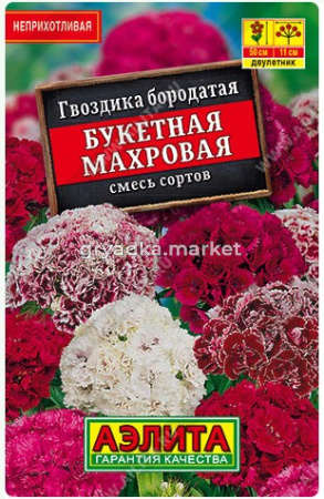 Скриншот 29-05-2026 093005