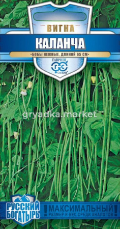 Вигна Каланча 5 г- Длинные (65 см!)-  серия Русский богатырь Н17 