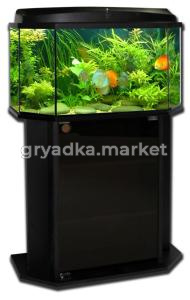 Комплект 50л Панорама 56х26х36см (аквариум+крышка) 1-1