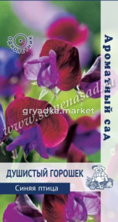 Душистый горошек Синяя птица (ЦВ) (Ароматный сад 