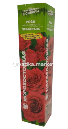 Скриншот 27-03-2025 143458-Photoroom