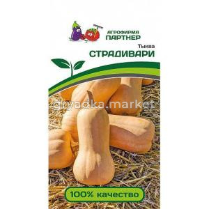 страдивари