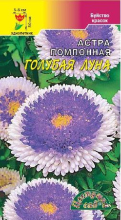 Астра Голубая луна японск.помпон. Цвет сад