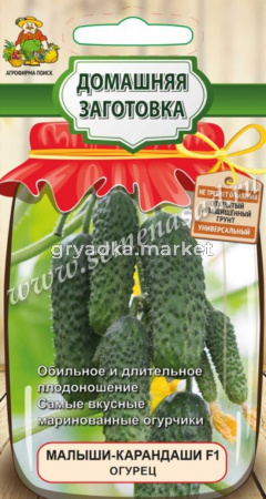 Огурец Малыши-карандаши  F1 (сер.Домаш.заготовка) (А) (ЦВ) 12шт Поиск