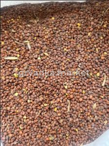 Редька масличная 40кг