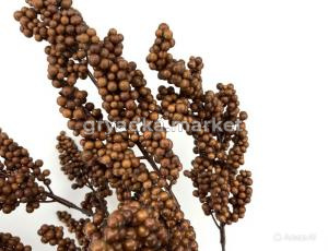 diting_result_394972ffa9d611f1b1e6aa2b1d16a875_1