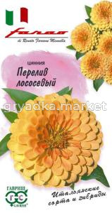 Цинния Перелив Лососевый 6 шт. Н18 Гавриш