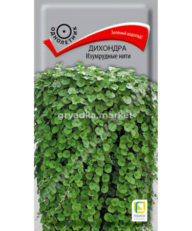 Дихондра Изумрудные нити 5шт (Поиск)