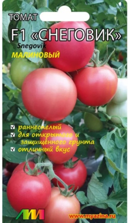 Томат Снеговик малиновый F1