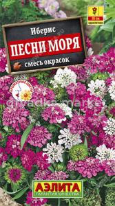 Иберис Песни моря смесь (Аэлита)