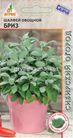 Шалфей Бриз 0,5г (Агрос) Германия