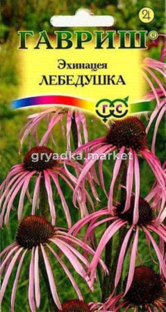 Эхинацея Лебедушка 0,1г Гавриш