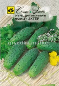 Огурец Актер F1,Парт,холод,белошип, Семко