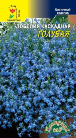 Лобелия Голубая каскад. Цвет.сад