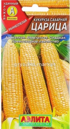 Кукуруза Царица,сахарная Аэлита