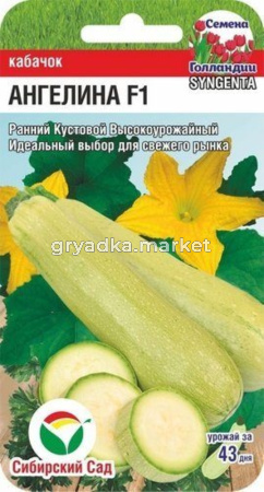 Кабачок Ангелина F1 3шт (Сиб Сад)