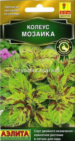 Колеус блюме Мозаика 5шт Одн 30 см (Аэлита)