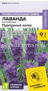 Лаванда Пурпурный колос узколистная-Сем Алт-цп 5 шт. многолетник 