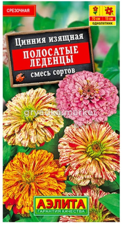 Цинния Полосатые леденцы (Аэлита)