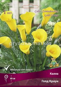 Калла Голд Краун 1шт (ярко-желтый)
