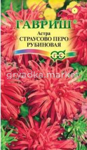 Астра Страусово Перо рубиновая 0,3г Одн 50см (Гавриш)
