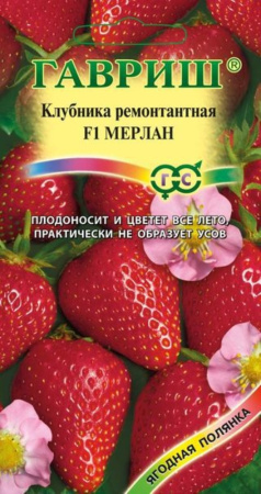 Земляника (клубника) Мерлан F1 5шт.Н14 Гавриш