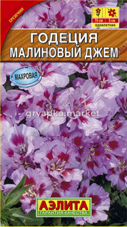 Годеция Малиновый джем, махровая (Аэлита)