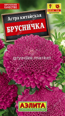 Астра Брусничка Аэл.