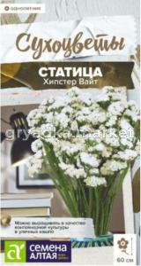 Статица Хипстер Вайт 5 шт Одн 60см (Сем Алт) Сухоцветы