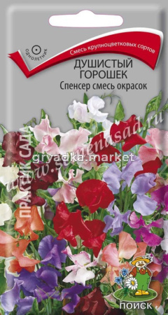 Душистый горошек Спенсер смесь 2гр. Поиск