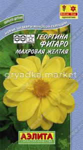 Георгина Фигаро ,махр.,желтый Аэл.