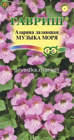 Азарина Музыка морях 5 шт. Н20 Гавриш