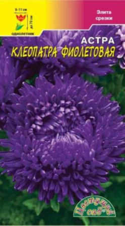 Астра Клеопатра Фиолетовая Цвет.сад.