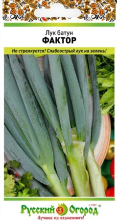Лук батун Фактор 0,5г Ср (НК)