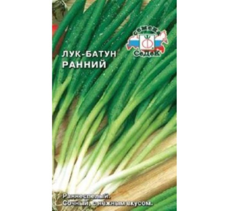 Лук батун Ранний 1г Ранн (Седек)