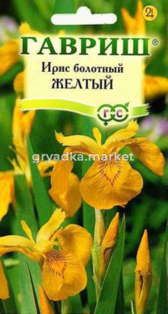Ирис болотный Желтый 3шт. Гавриш