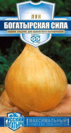Лук репч. Богатырская сила 0,5-Русский богатырь Г