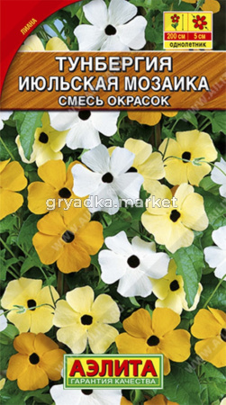 Тунбергия Июльская мозаика, смесь окрасок Аэлита