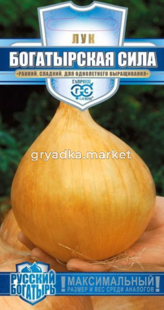 Лук репч. Богатырская сила 0,5-Русский богатырь Г