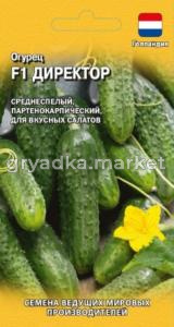 Огурец Директор F1 5шт Парт Ср (Гавриш)